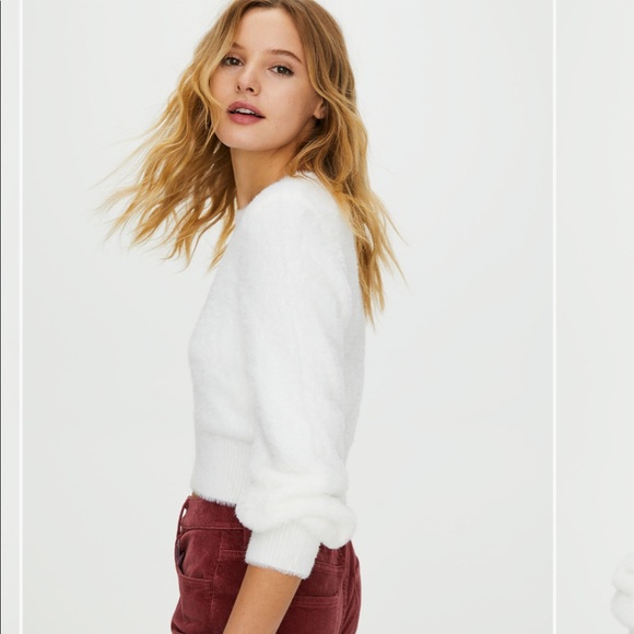 sunday best kitten cardigan